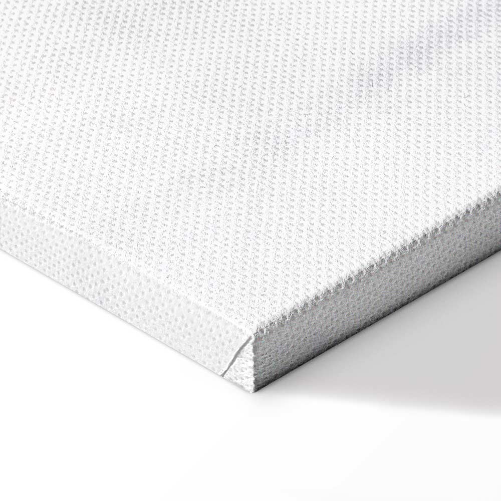 Winter Forest Landscape Canvas Print