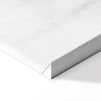 Winter Forest Landscape Canvas Print