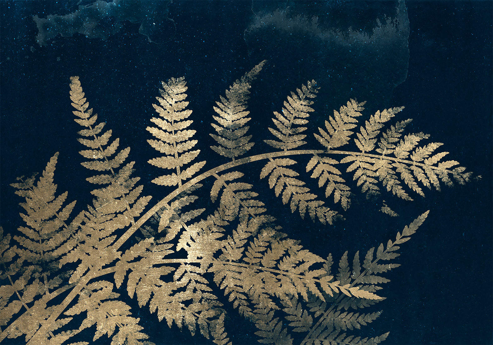 Wall Mural Leaves - Magic Night