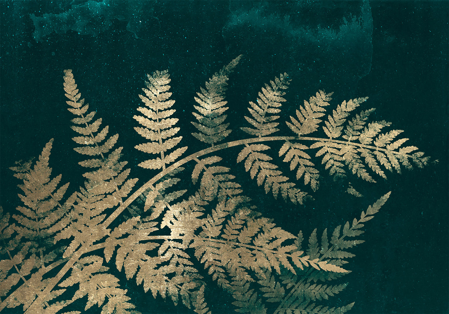 Wall Mural Leaves - Magic Night