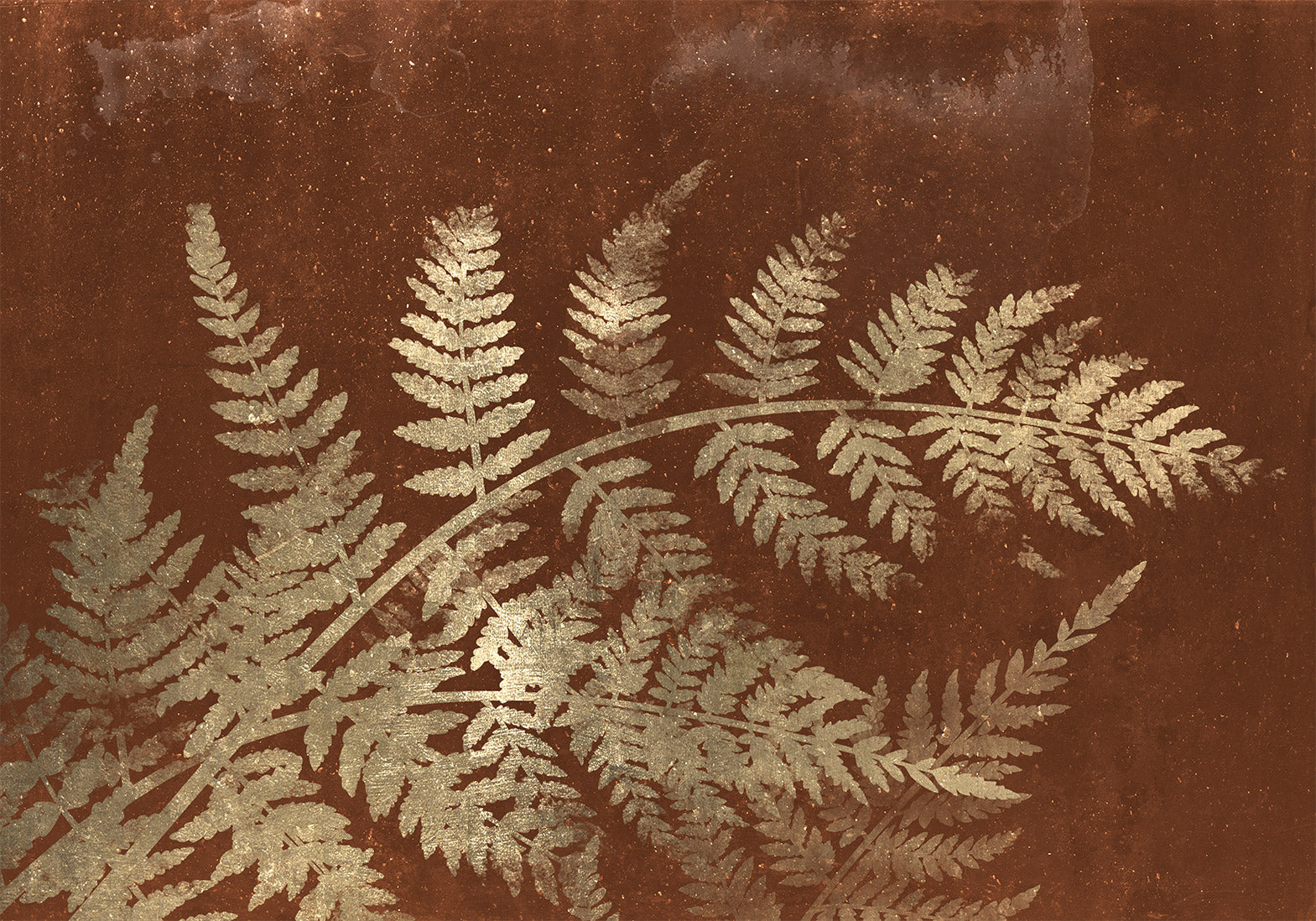 Wall Mural - Magic Night Leaves