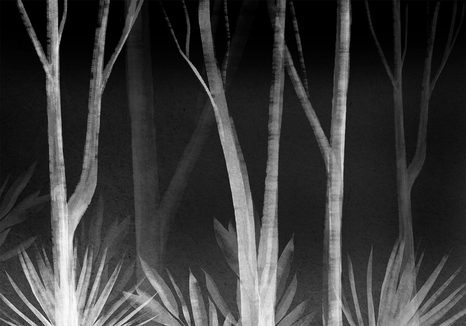 Wall Murals: Forest Night with White Trees on Black