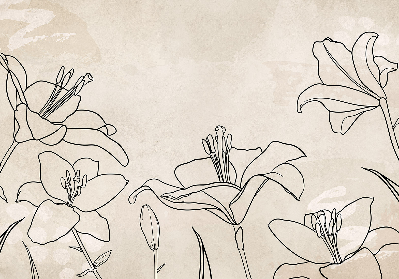 Wall mural nature sketch lineart lilies beige background
