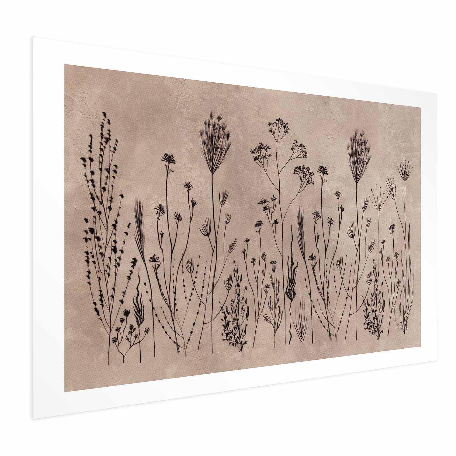 Field Flowers Black Botanical Poster