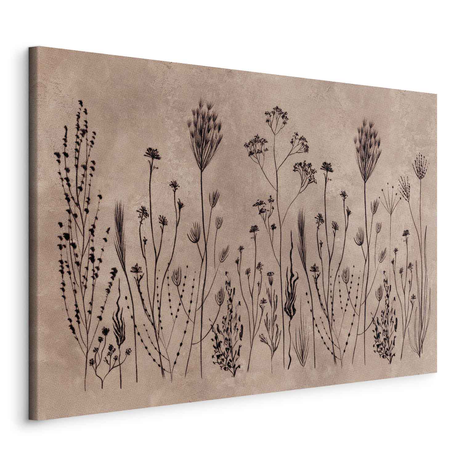 Wildflower Silhouette Lime Wash Canvas Print