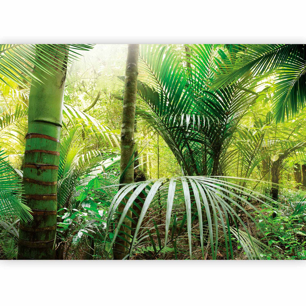 Green Forest Alley Landscape Wall Mural