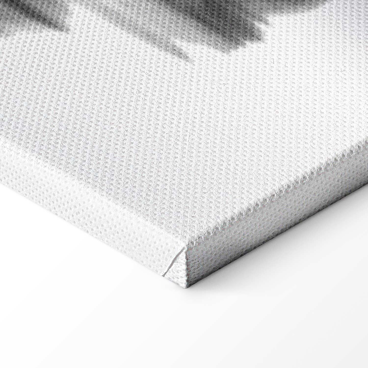 Zen Magnolia Garden Canvas Print