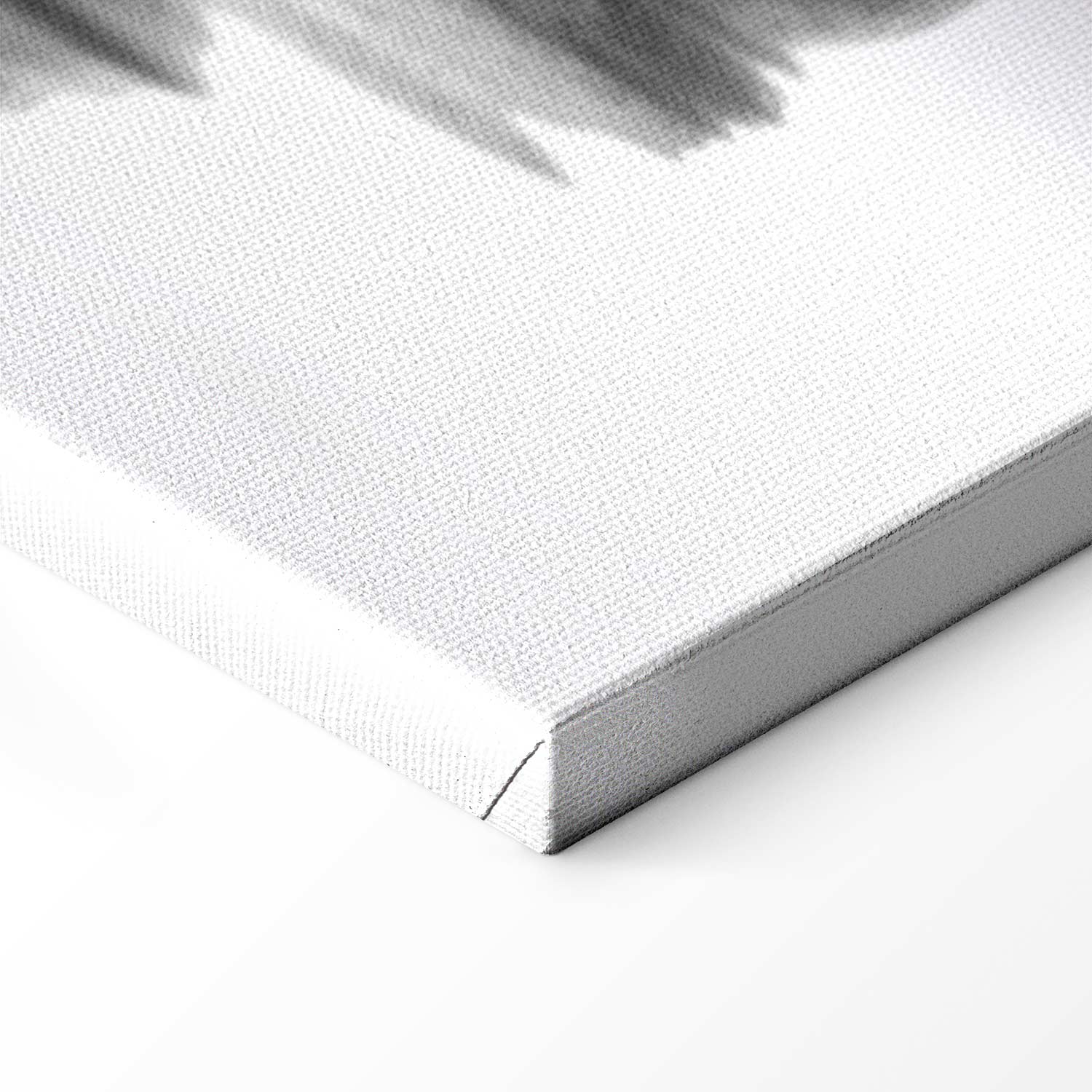 Zen Magnolia Garden Canvas Print