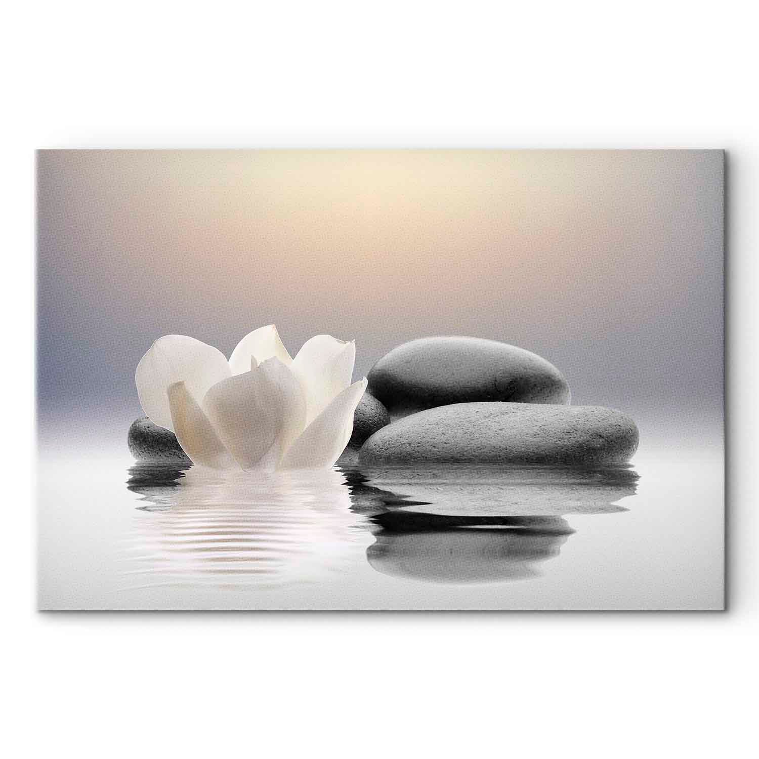 Zen Magnolia Garden Canvas Print