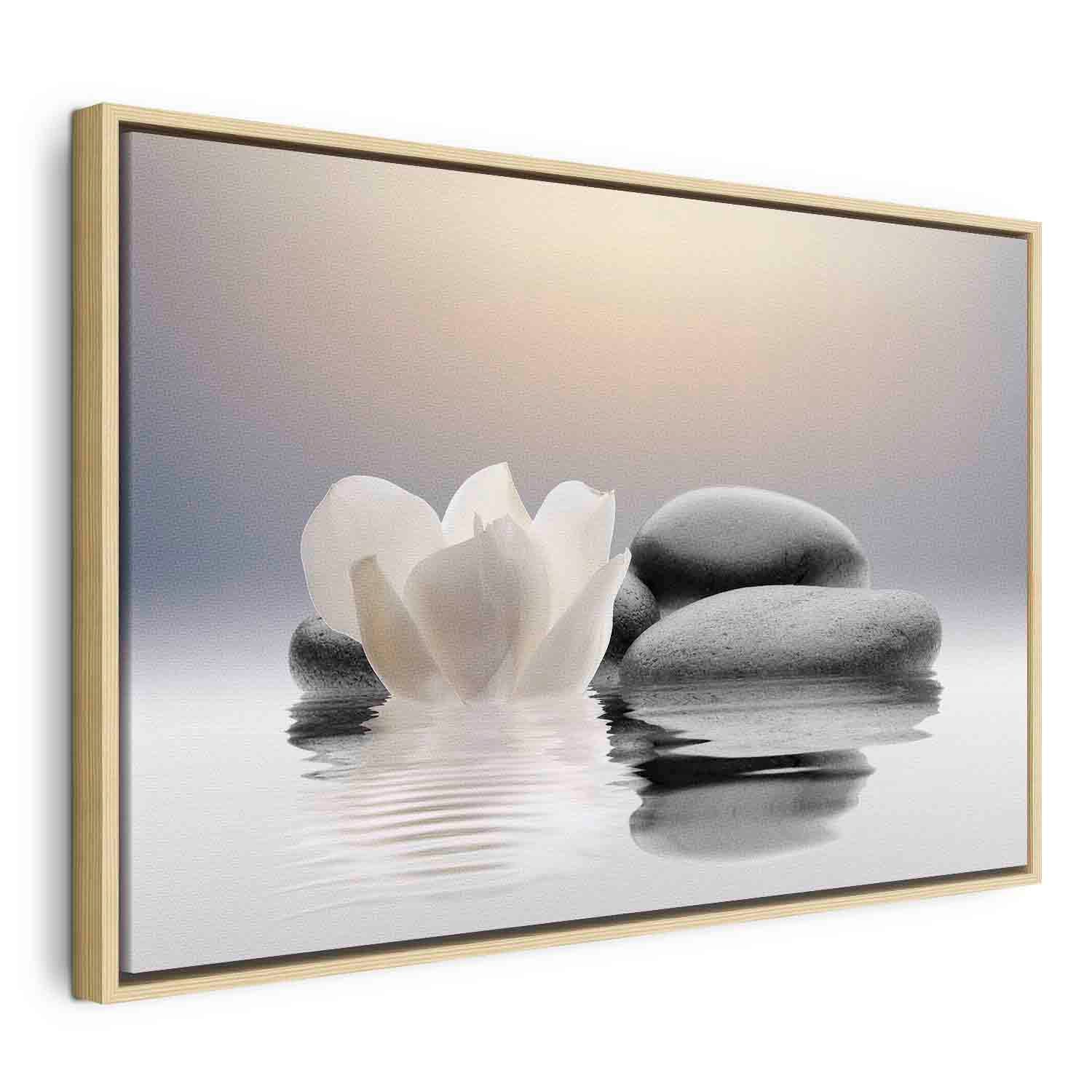 Zen Magnolia Garden Canvas Print