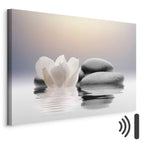 Zen Magnolia Garden Canvas Print