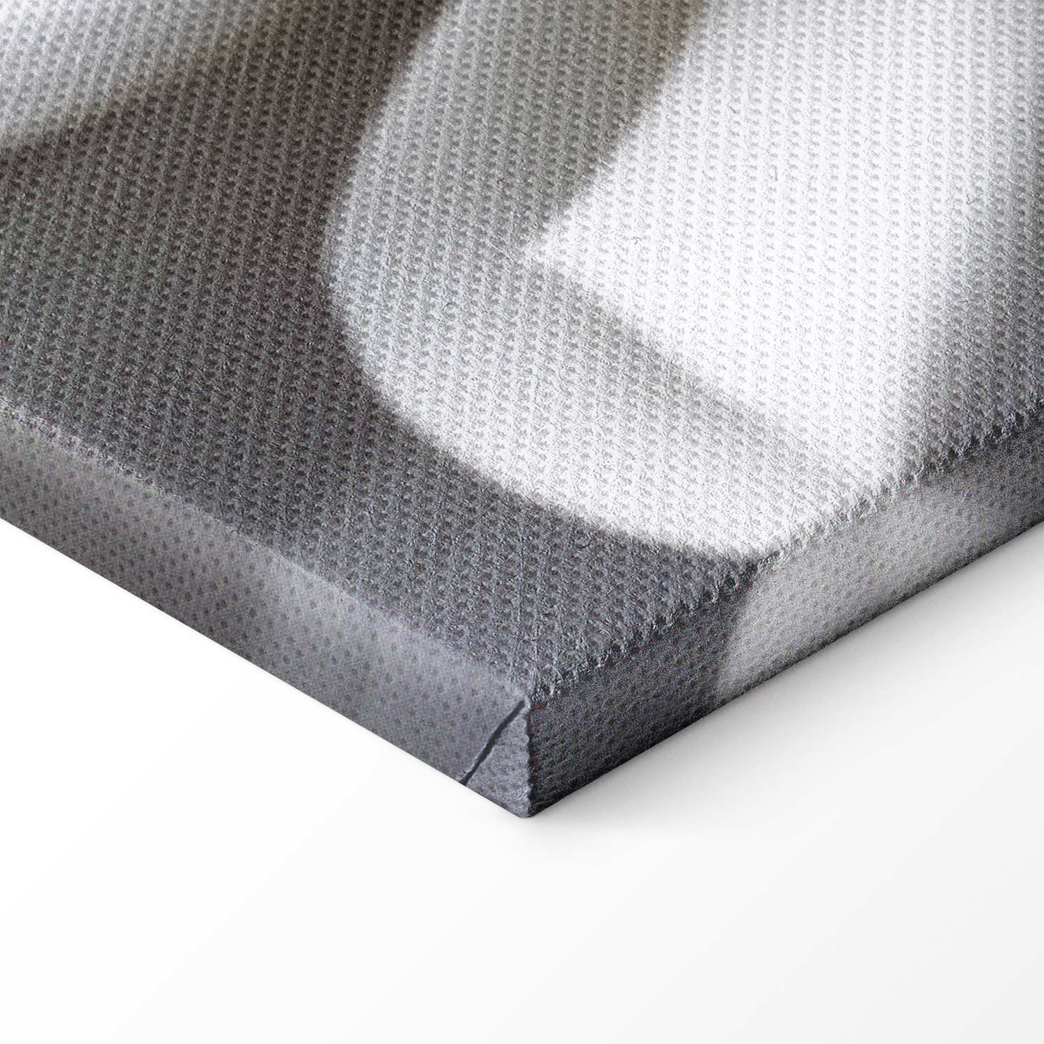 White Dahlia Floral Canvas Print