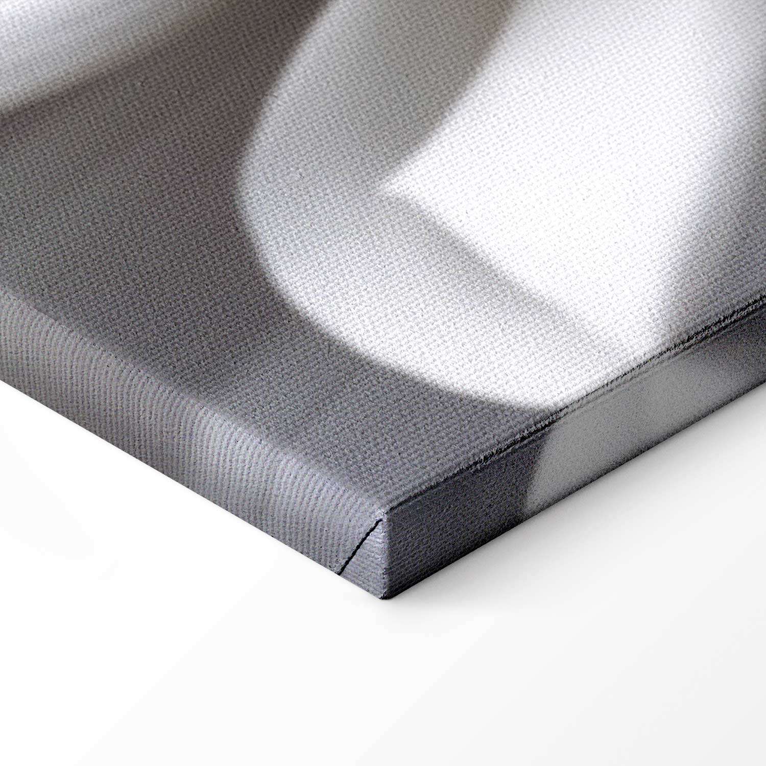 White Dahlia Floral Canvas Print