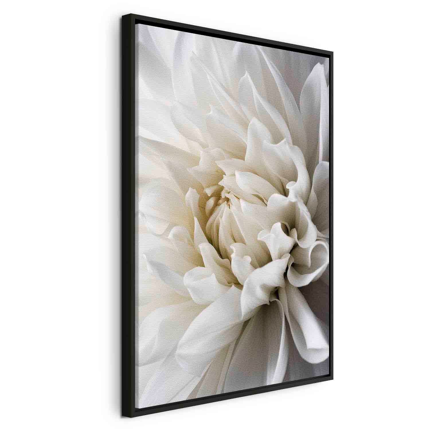 White Dahlia Floral Canvas Print