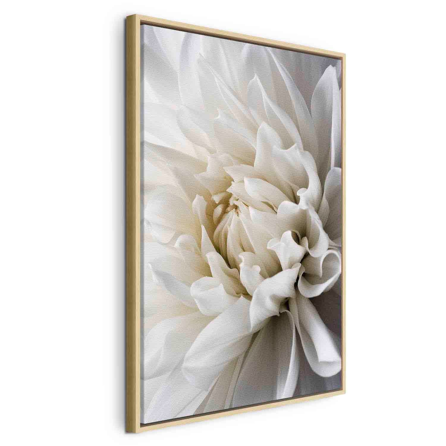 White Dahlia Floral Canvas Print