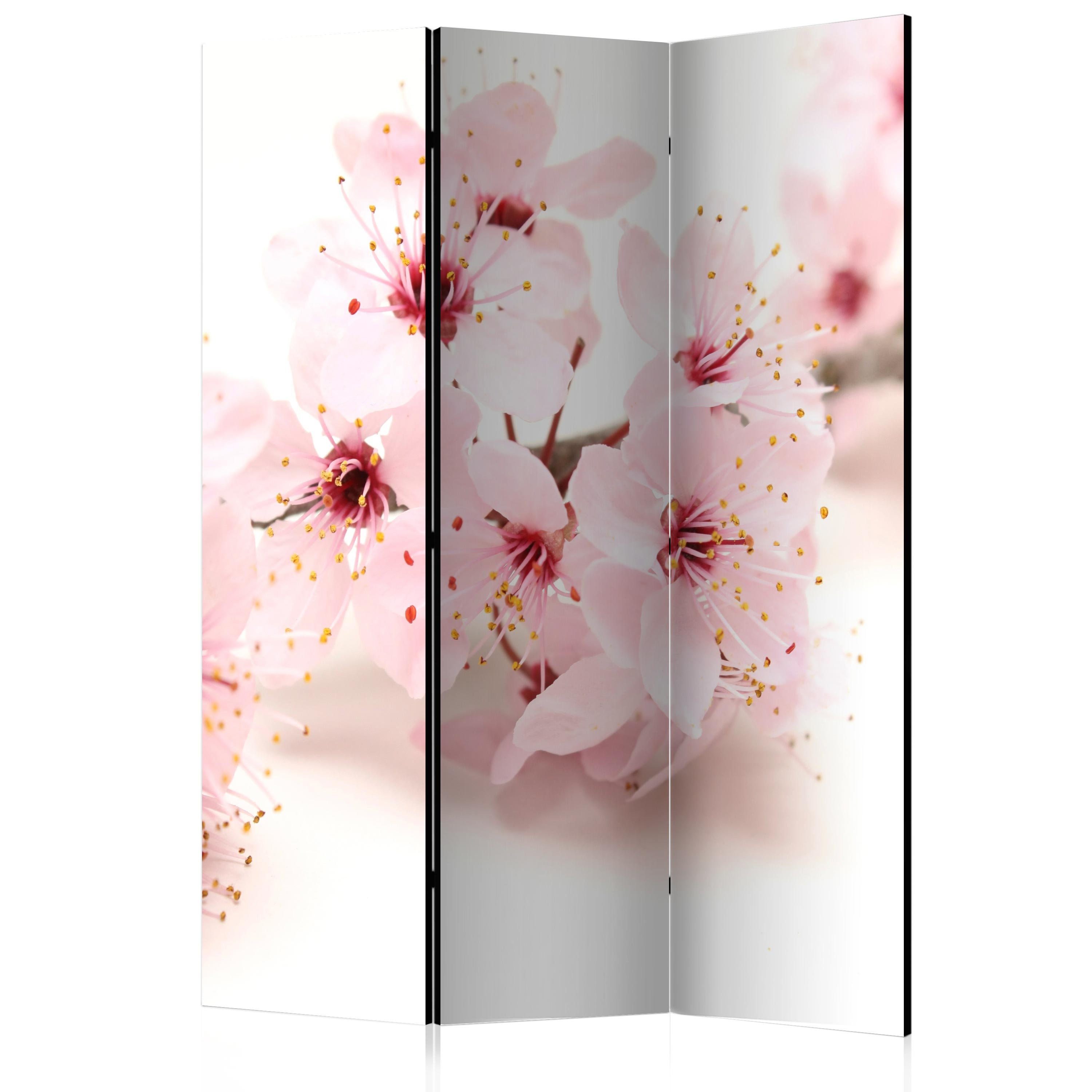 Cherry Blossom Zen 3-Panel Room Divider