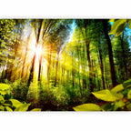 Forest Hideout Green Nature Wall Mural