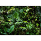 Sunny Jungle Tropical Leaves Wall Mural