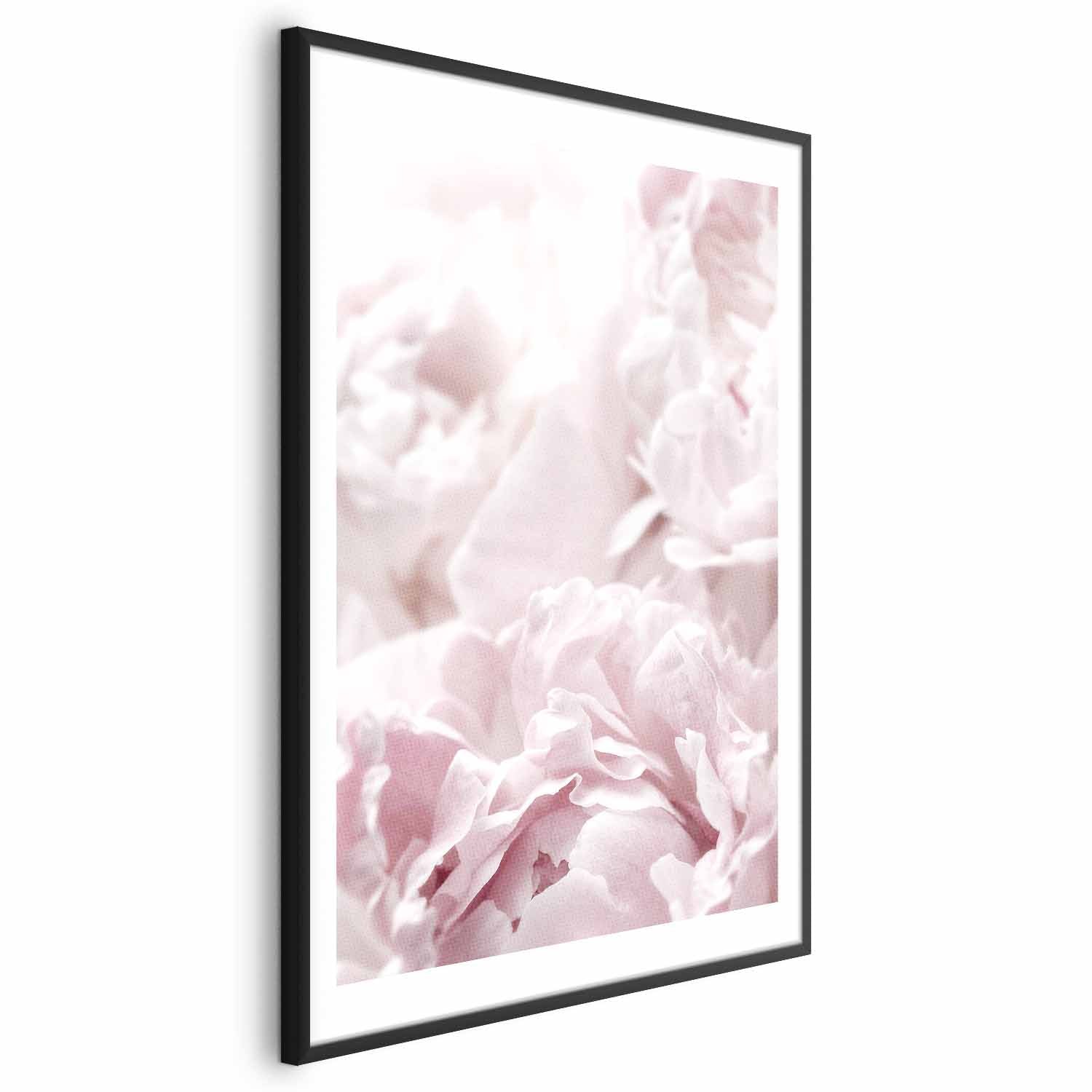Fluffy Peonies Floral Poster