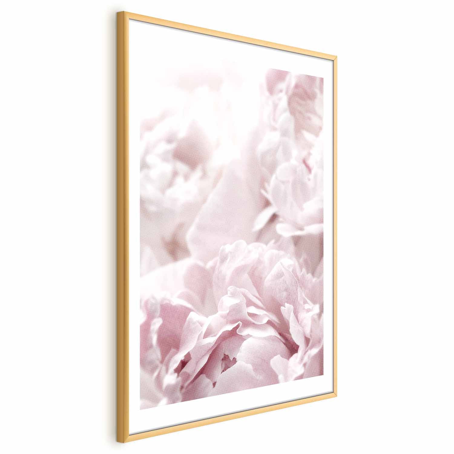 Fluffy Peonies Floral Poster
