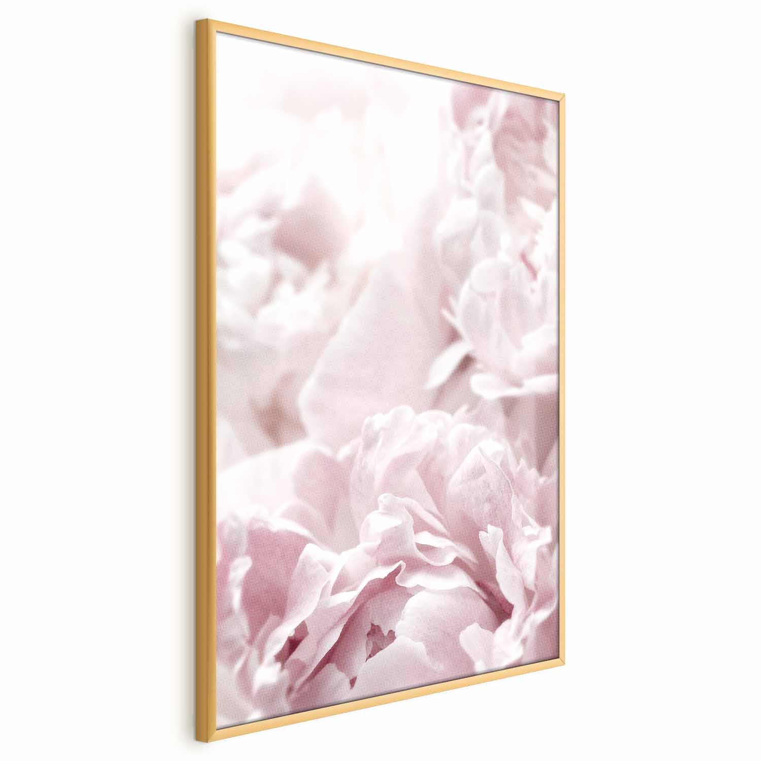 Fluffy Peonies Floral Poster