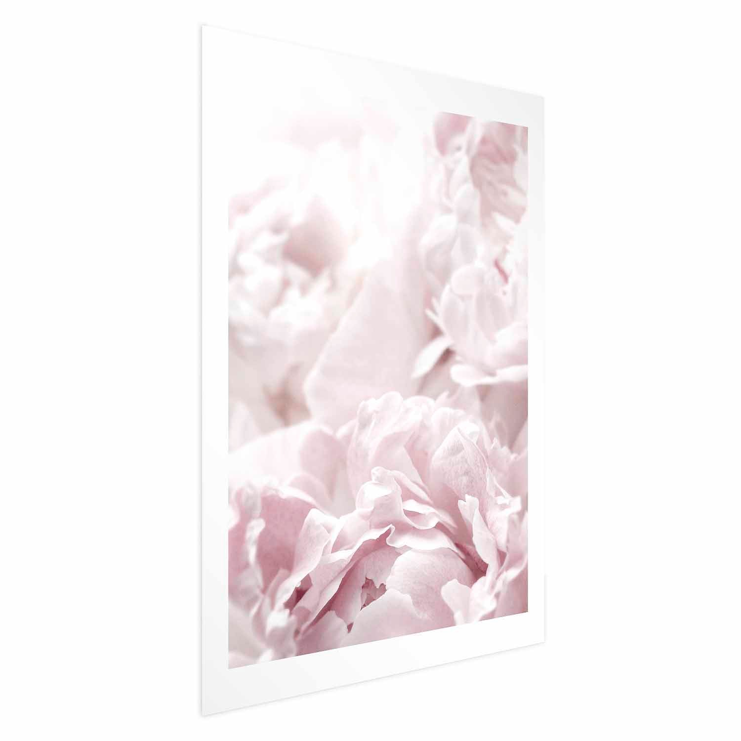 Fluffy Peonies Floral Poster