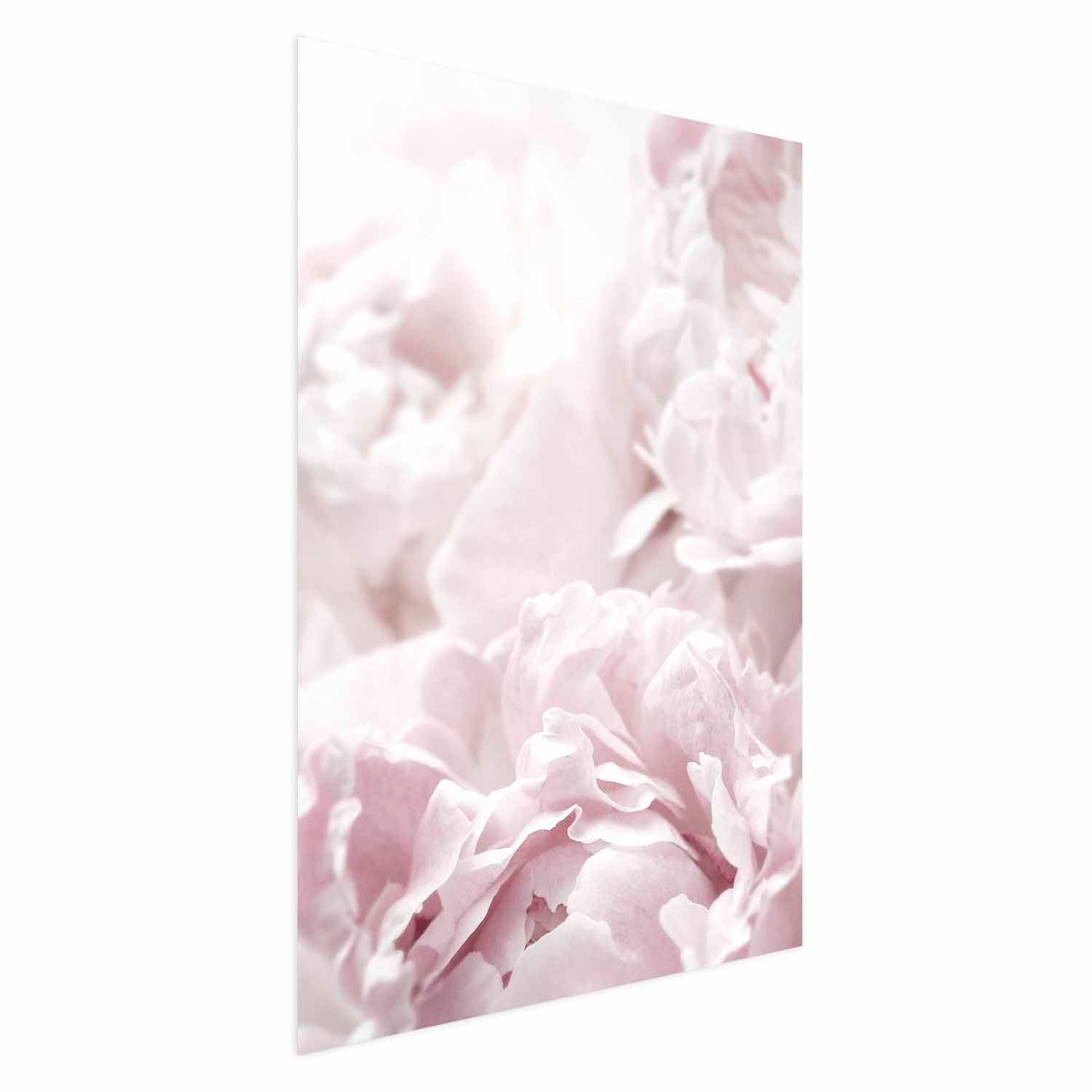 Fluffy Peonies Floral Poster