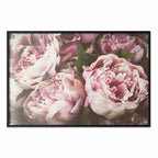 Pink Peonies Floral Poster