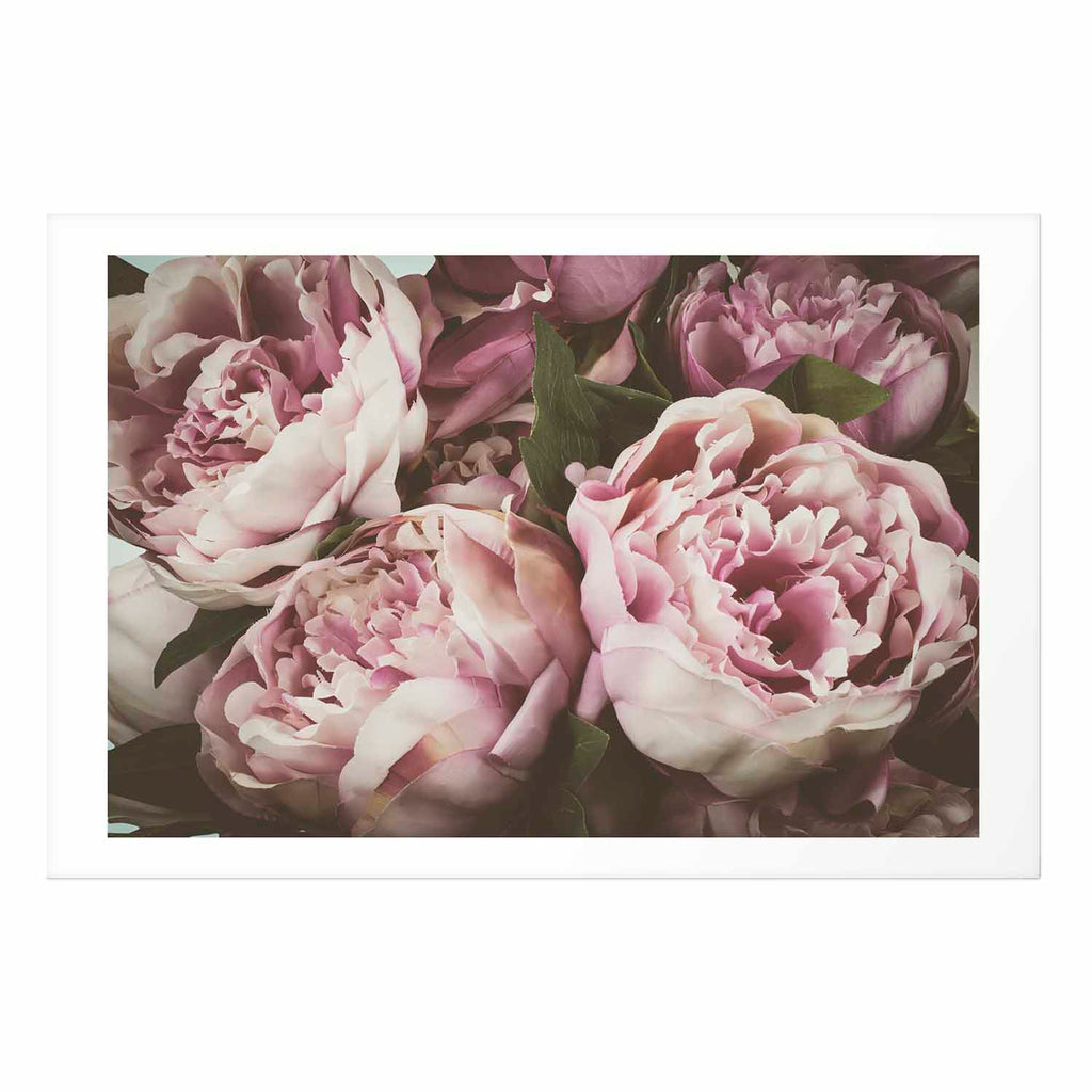 Pink Peonies Floral Poster
