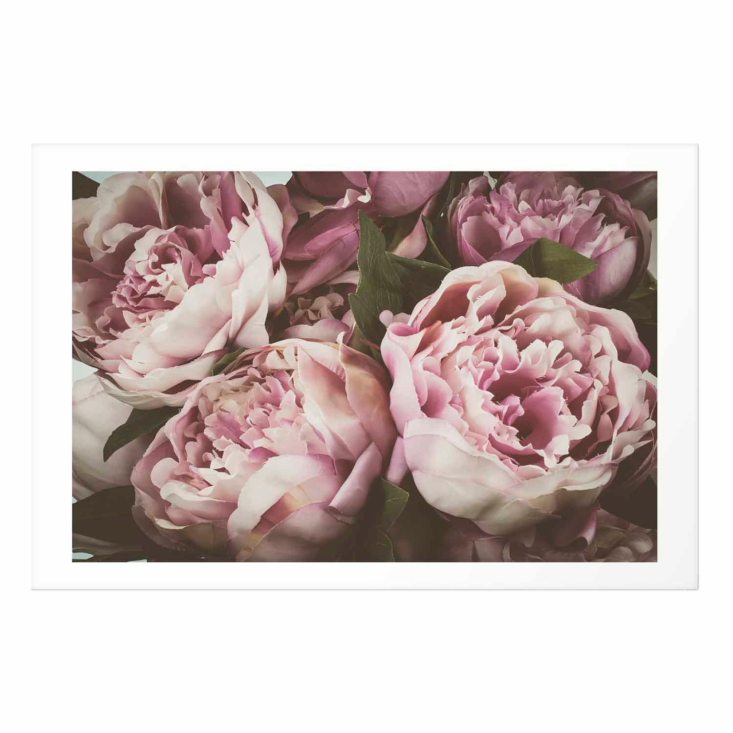 Pink Peonies Floral Poster