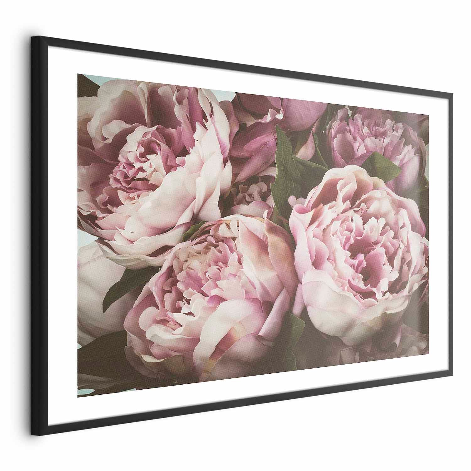 Pink Peonies Floral Poster