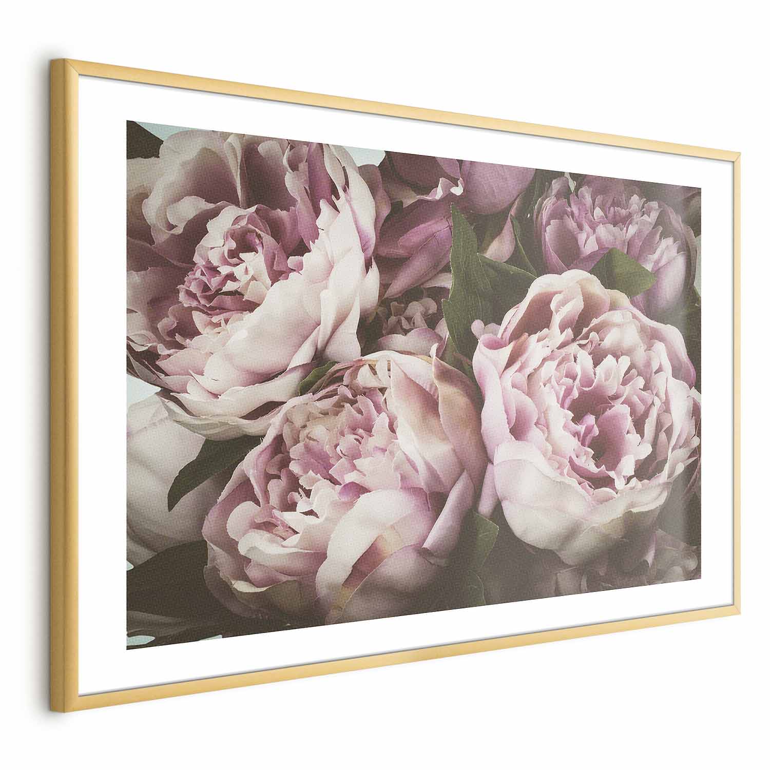 Pink Peonies Floral Poster