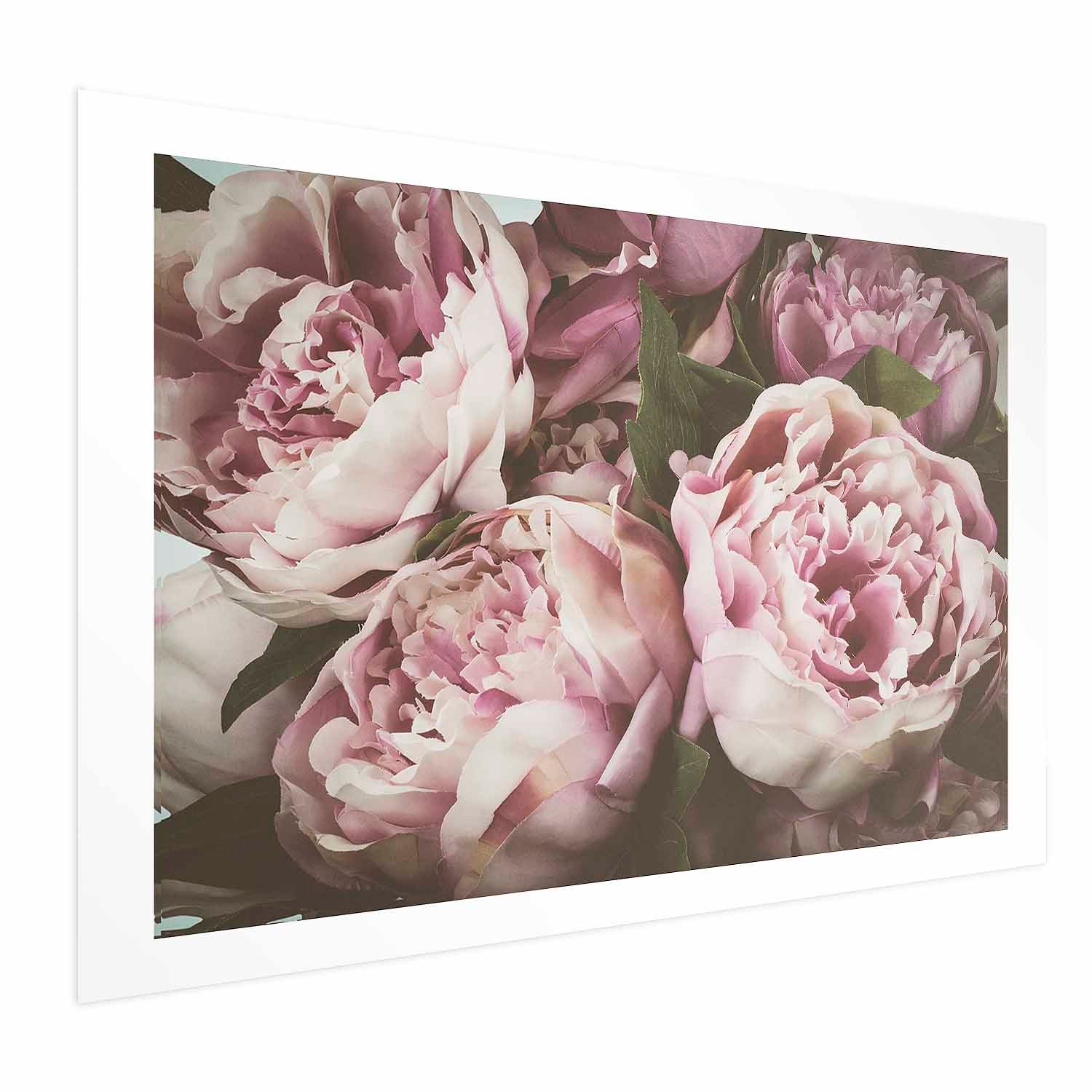 Pink Peonies Floral Poster