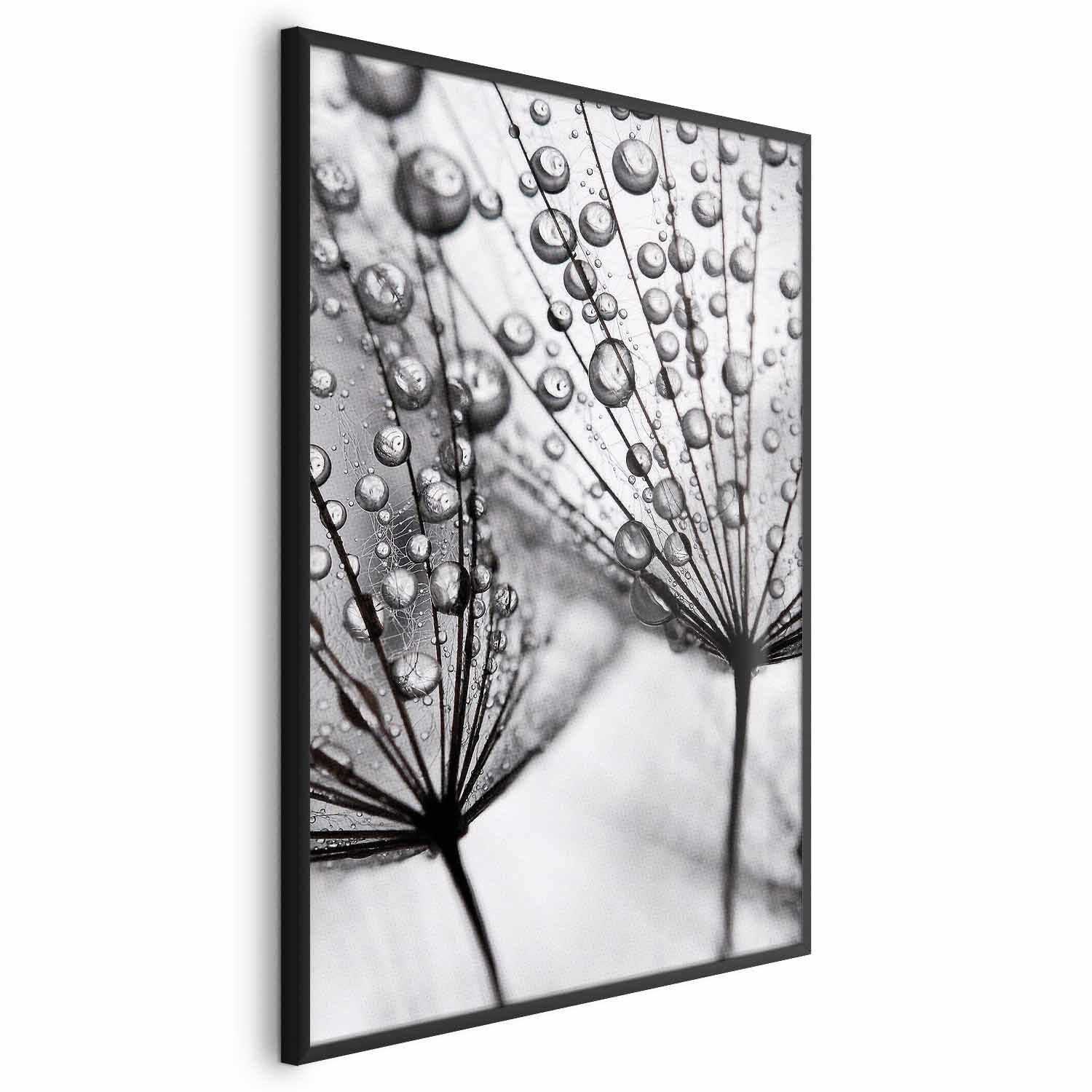 Macro Dew Dandelion Floral Posters