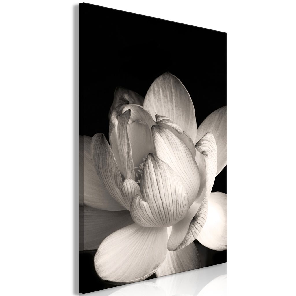 Canvas Print - Delicacy of Petals in Nature (1-part) - Flower in Black and White