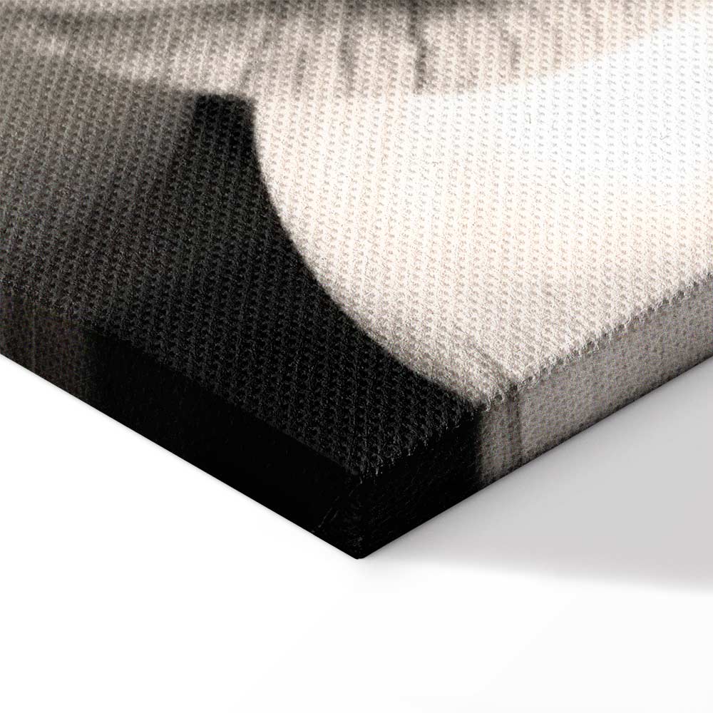 Black and White Flower Petals Nature Canvas Print