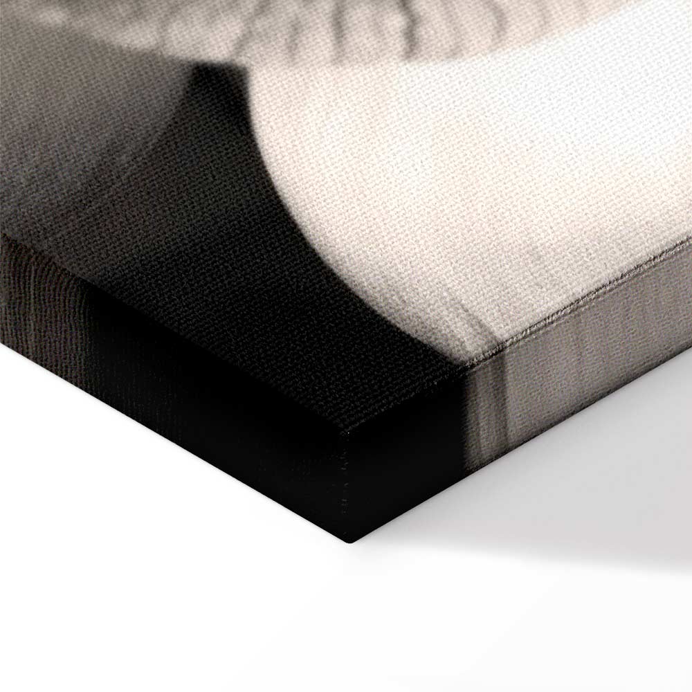 Black and White Flower Petals Nature Canvas Print