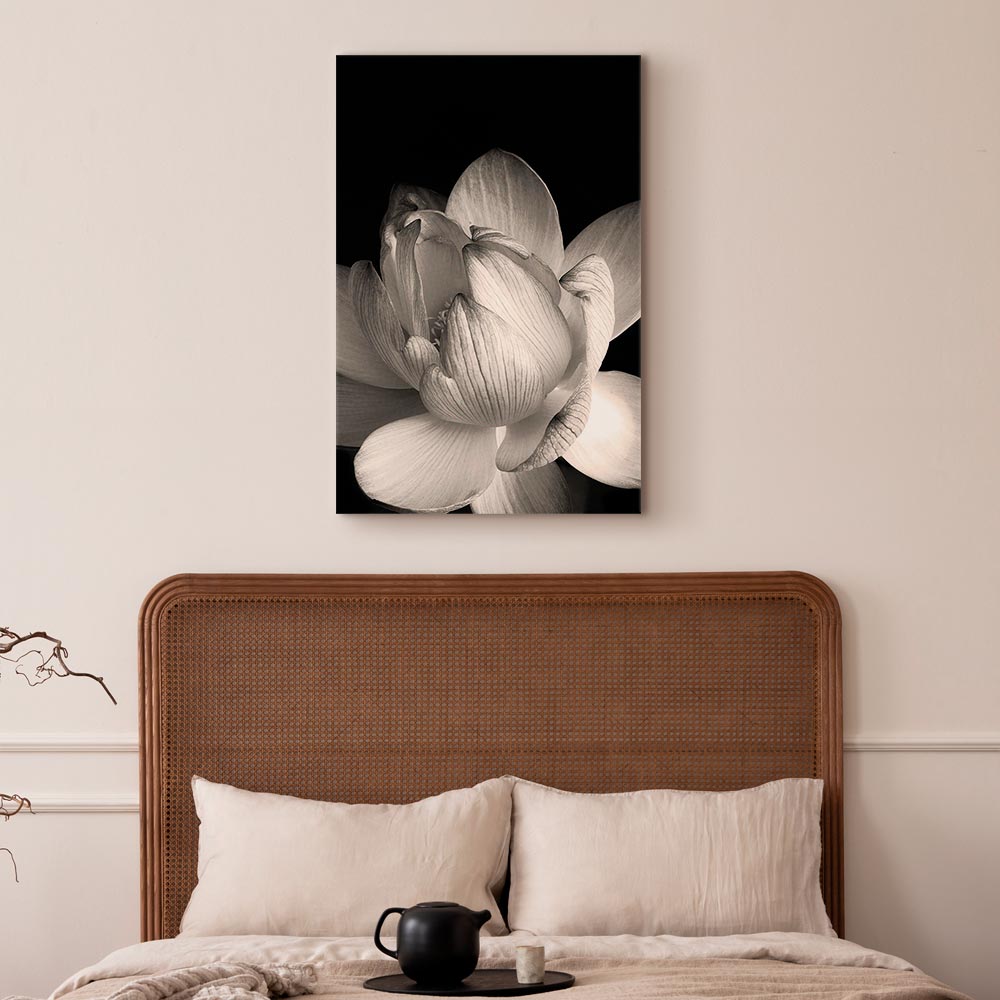 Black and White Flower Petals Nature Canvas Print