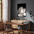 Black and White Flower Petals Nature Canvas Print