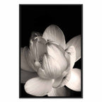 Black and White Flower Petals Nature Canvas Print