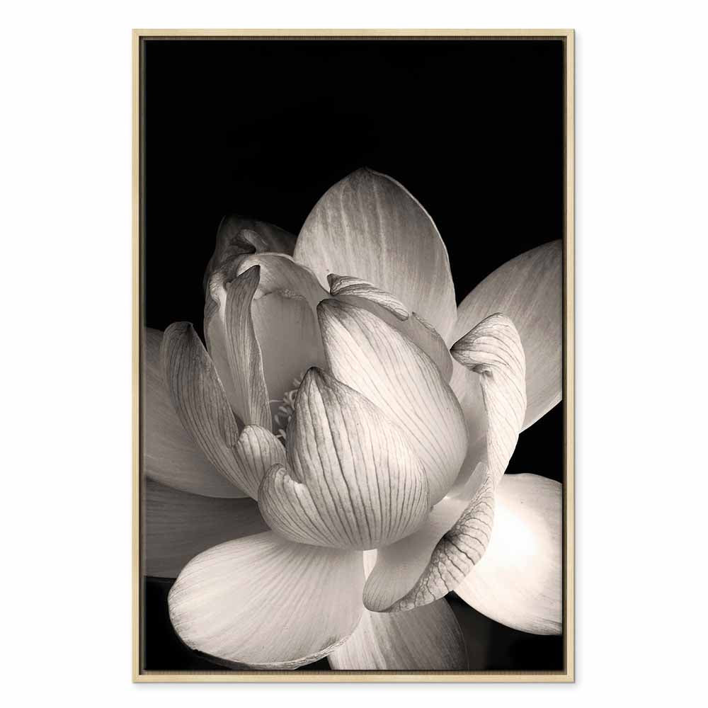 Black and White Flower Petals Nature Canvas Print