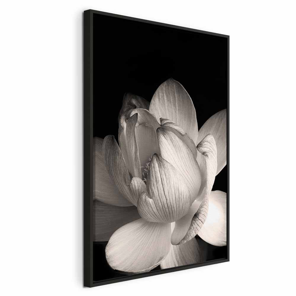 Black and White Flower Petals Nature Canvas Print