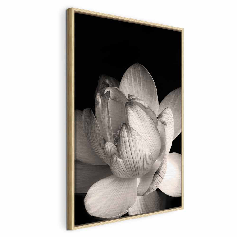 Black and White Flower Petals Nature Canvas Print
