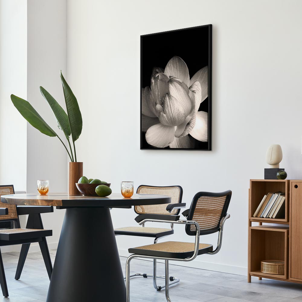 Black and White Flower Petals Nature Canvas Print