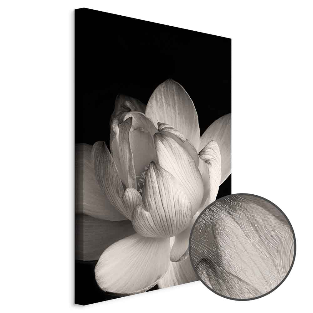 Black and White Flower Petals Nature Canvas Print