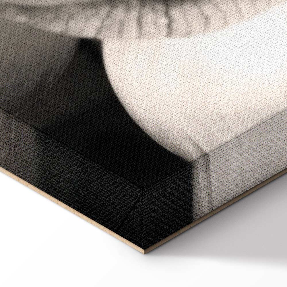 Black and White Flower Petals Nature Canvas Print