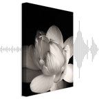 Black and White Flower Petals Nature Canvas Print