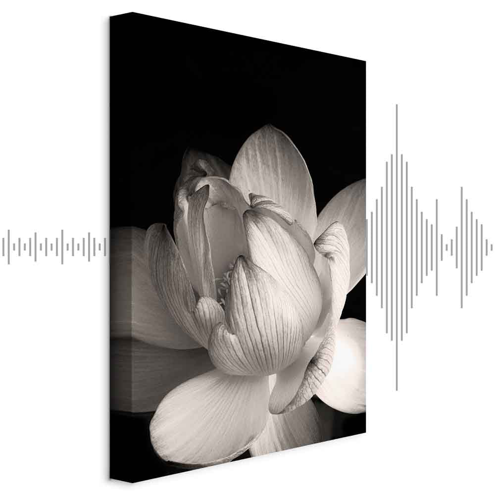 Black and White Flower Petals Nature Canvas Print