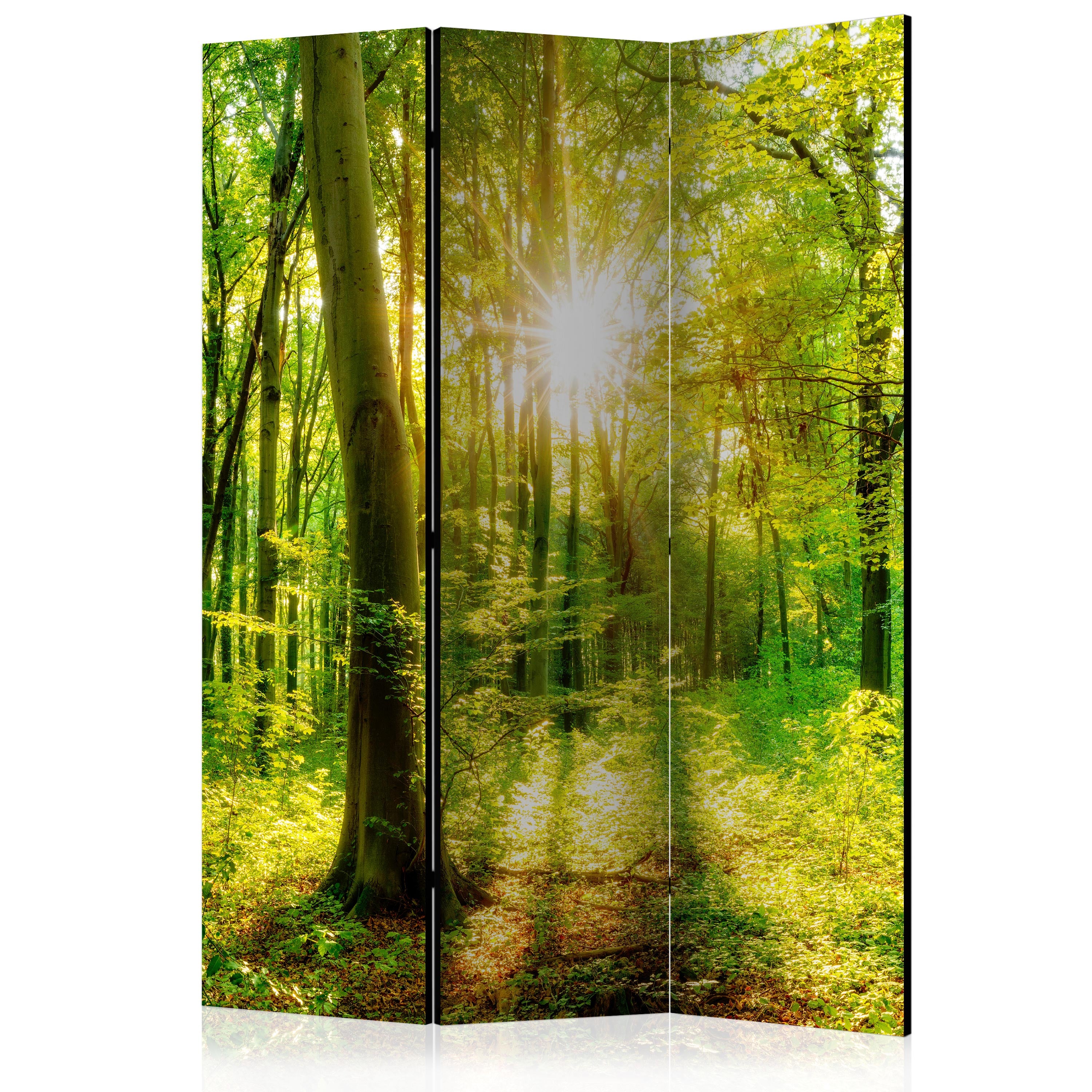 Forest Sun Rays Landscape 3-Panel Room Divider