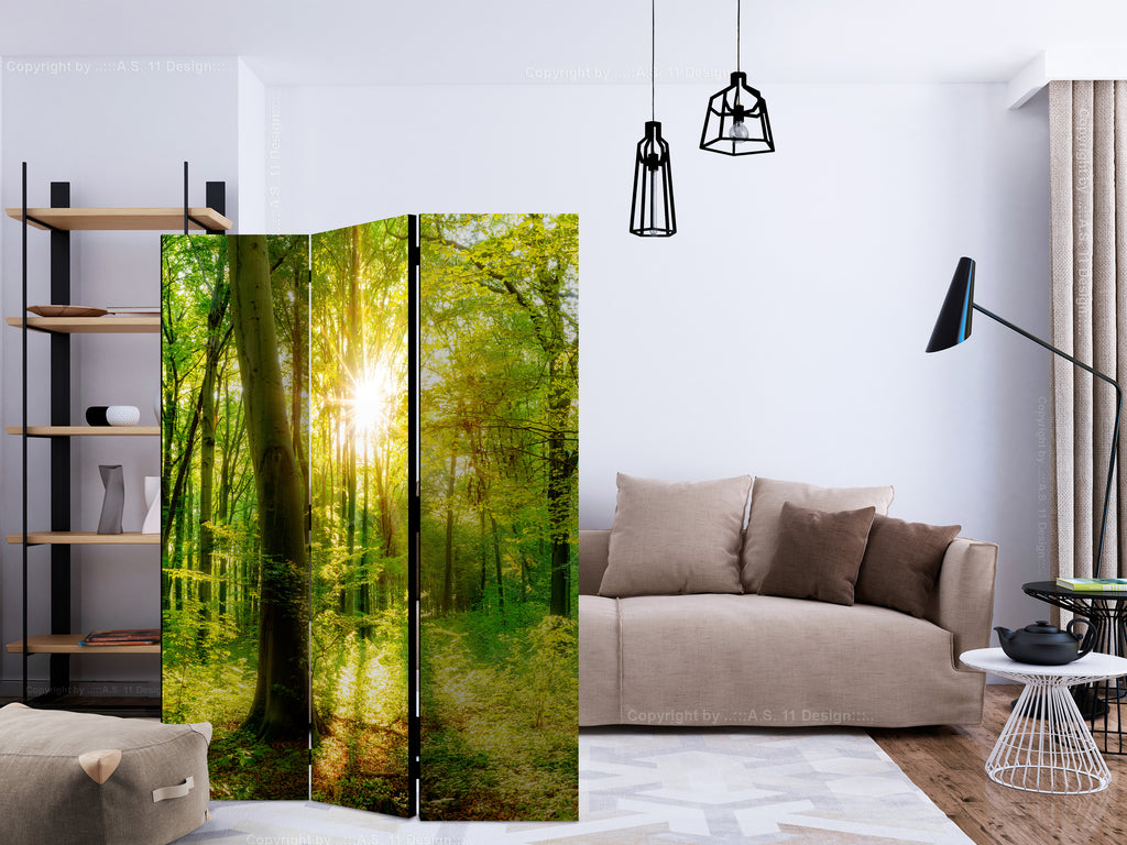 Forest Sun Rays Landscape 3-Panel Room Divider